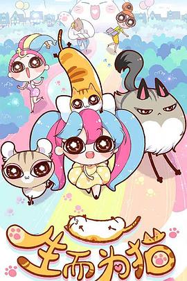 香洲seo优化费用